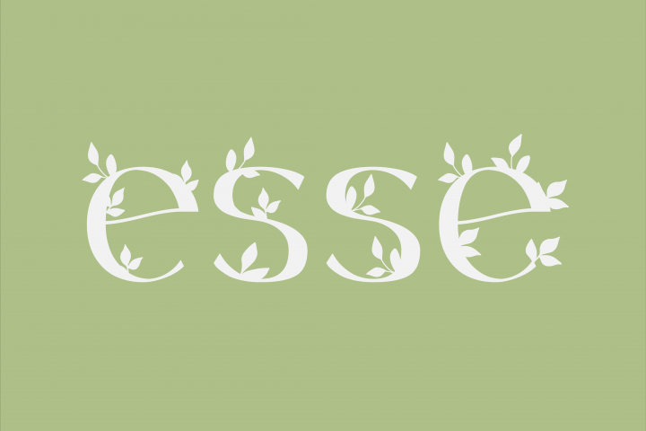 брендинг для компании "esse"