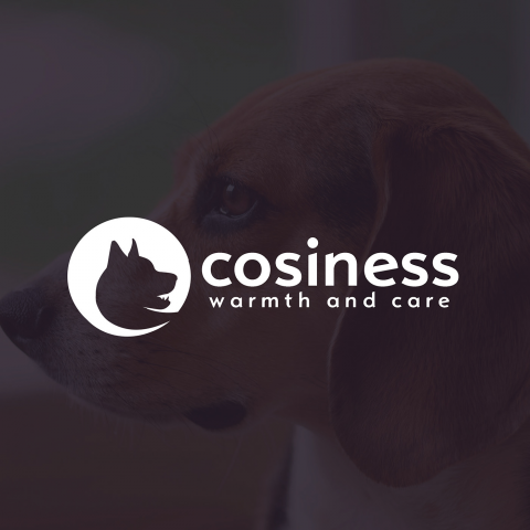 COSINESS