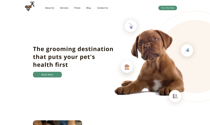 Grooming Pet
