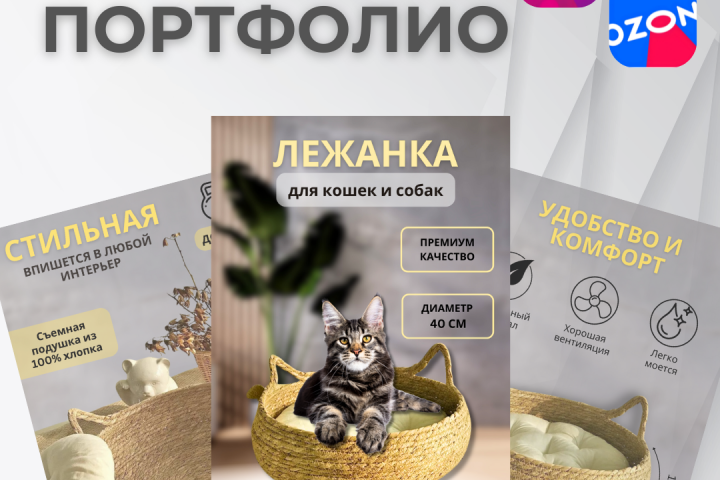 Инфографика