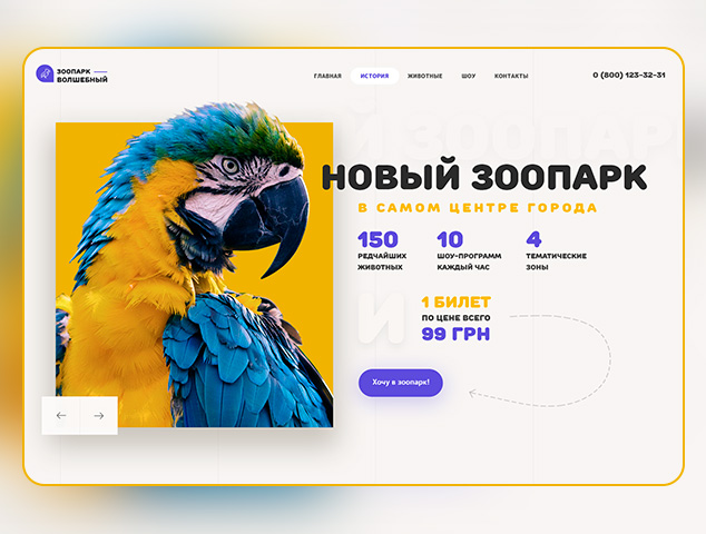 Дизайн сайта для Зоопарка | 2020