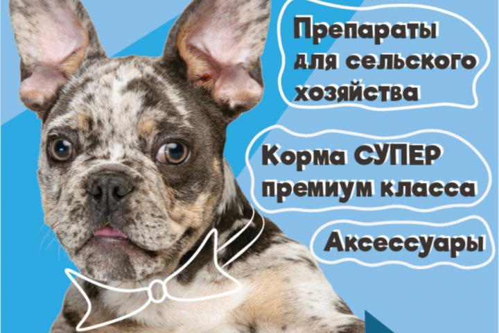 Печатная реклама для Ветаптеки/Зоомагазина "ВетПлюс"