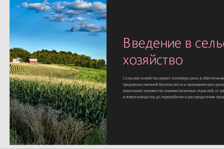 Презентация