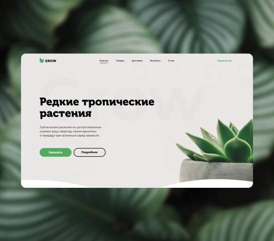 Grow - Concept