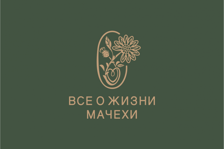 Психологическая помощь Мачехам