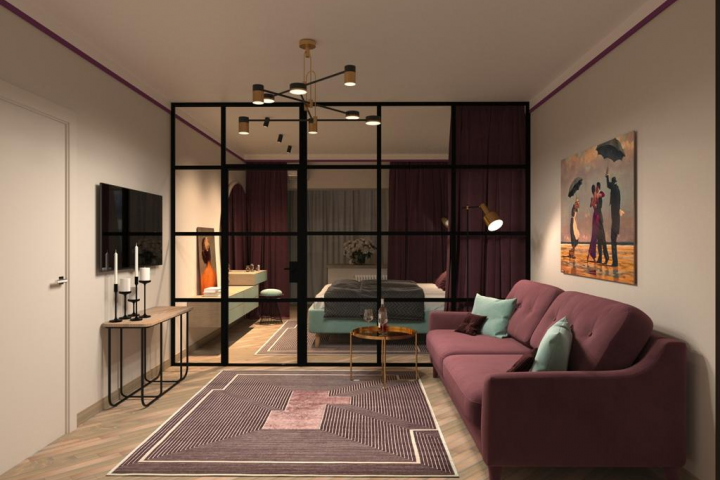 Дизайн гостиной с спальной зоной, 24 м.кв