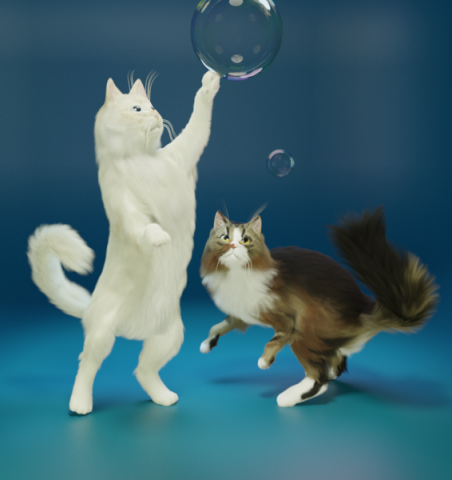Коты