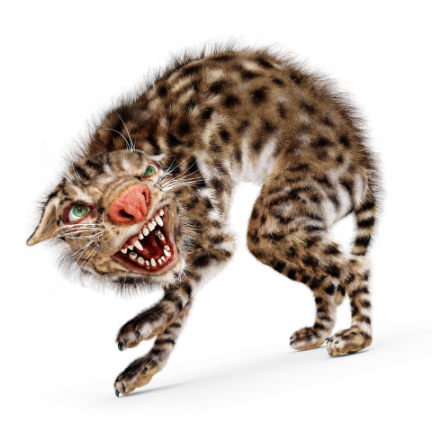 Персонаж. Испуганная монстрозверушка