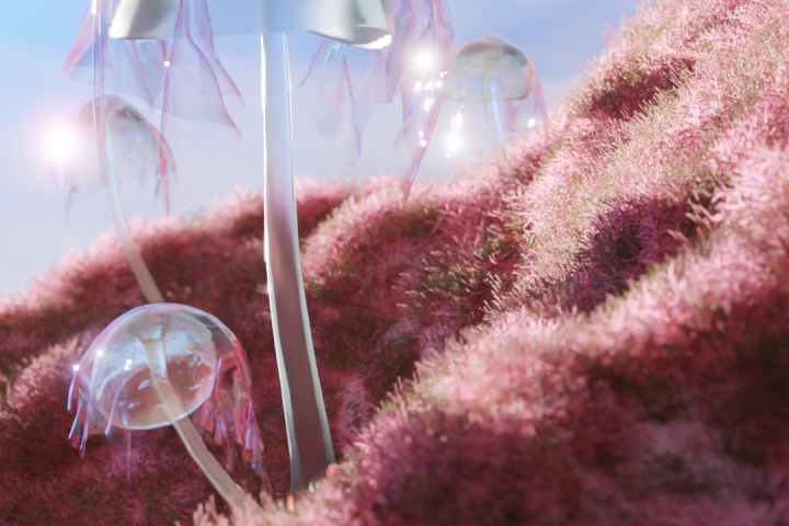 Mushrooms