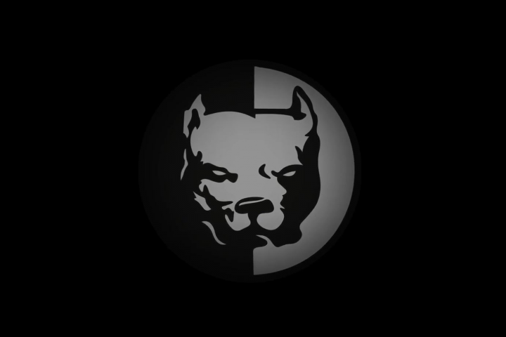 Презентация Питбуля