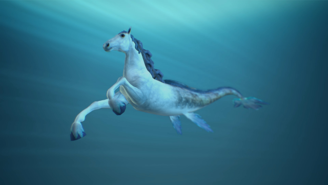 Hippocampus