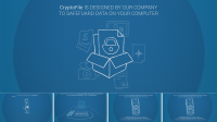 Infographics for security company (Cryptofile)