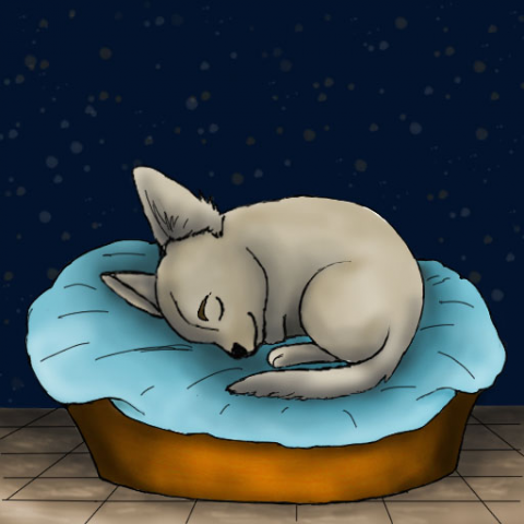 Сладкий сон