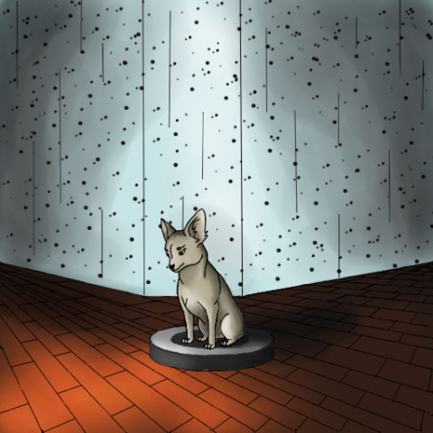 Развлечение собаки