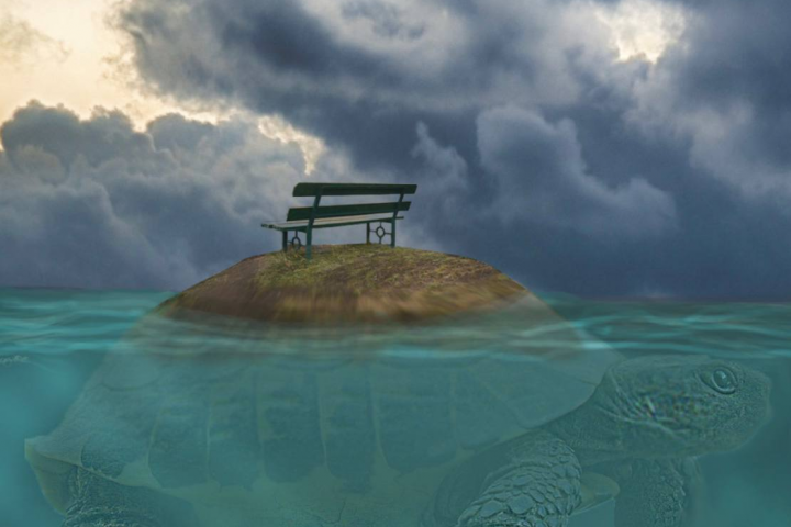 Фотоманипуляция