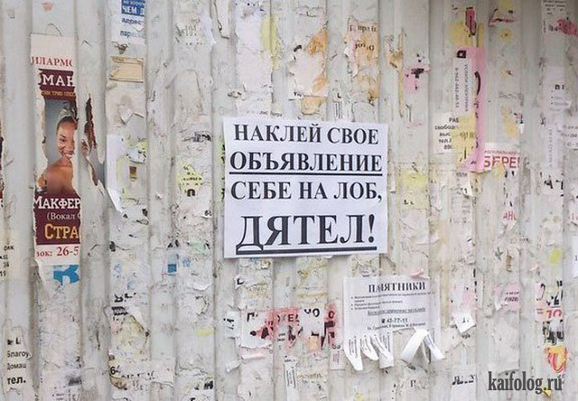 Где разместить объявление бесплатно в Сургуте