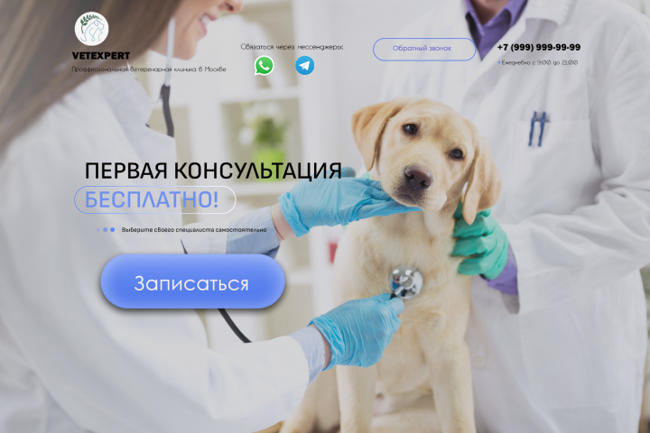 Лендинг для вет. клиники