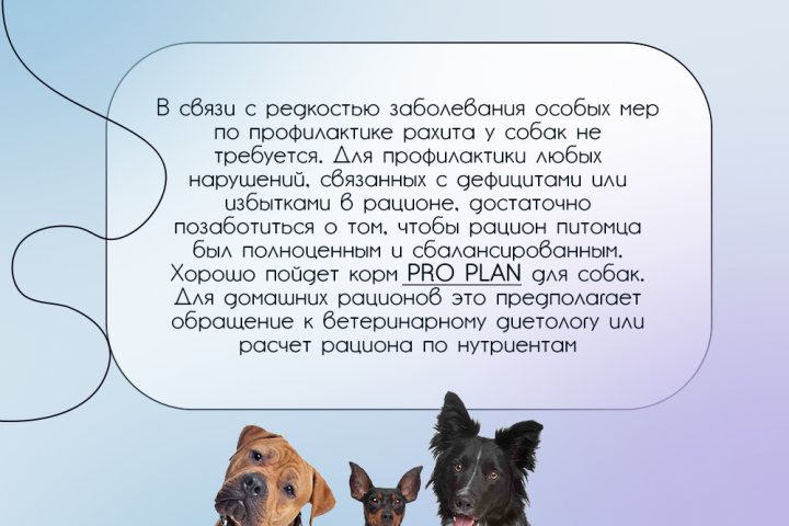 Информационная карточка для вет. клиники