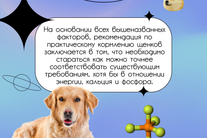 Информационная карточка для вет. клиники