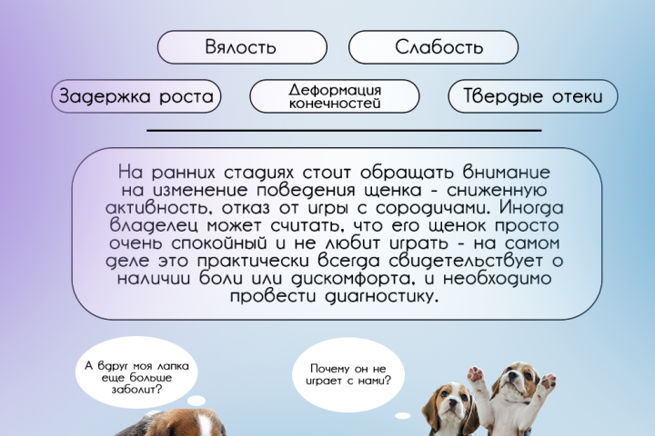 Информационная карточка для вет. клиники