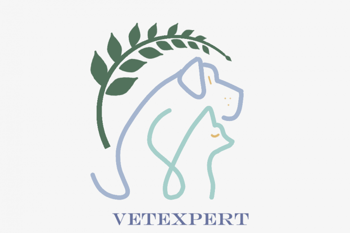 Логотип для ветеринарной клиники