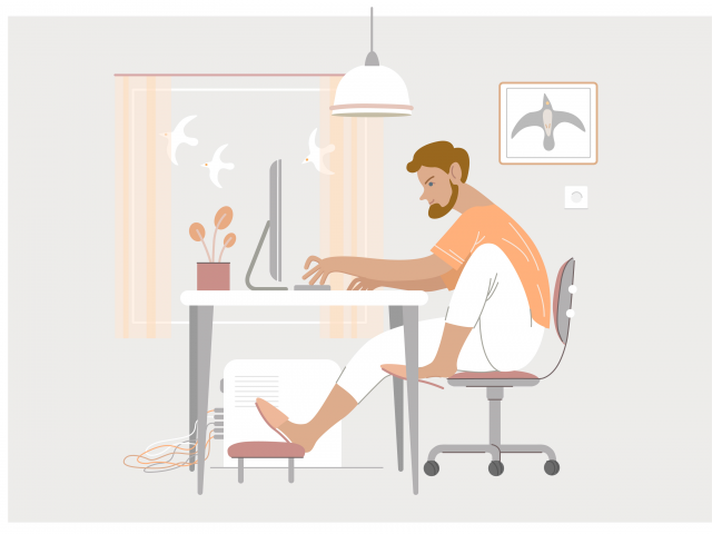 Freelancer seagull lover