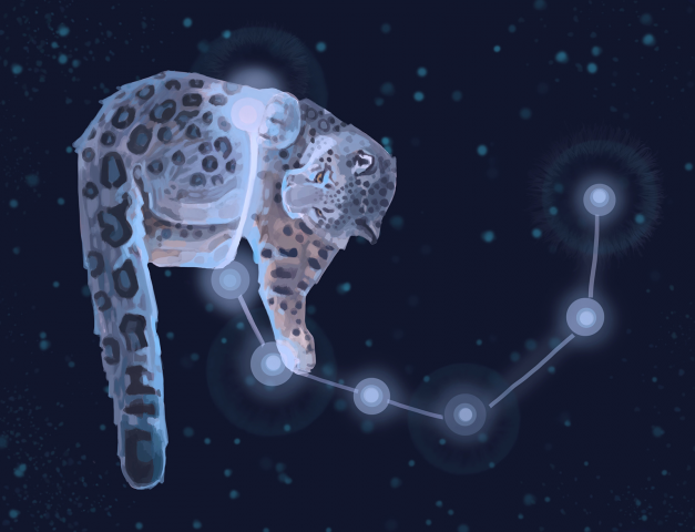 "Барс и созвездие Северная корона"