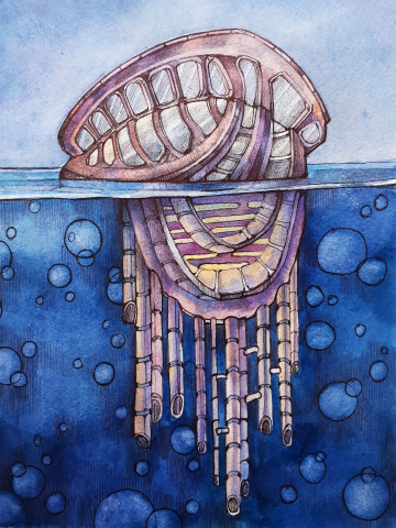 "Город-Физалия"