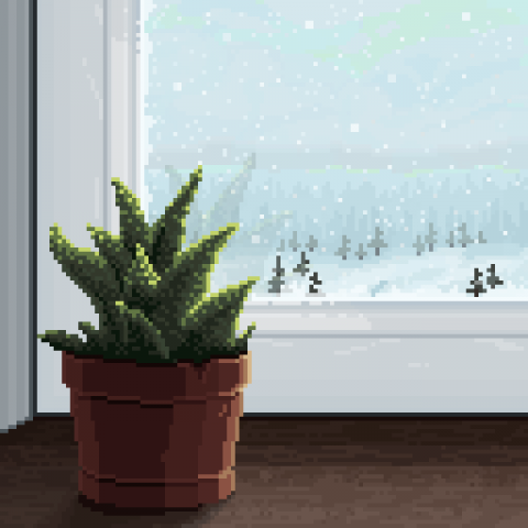 Frosty morning