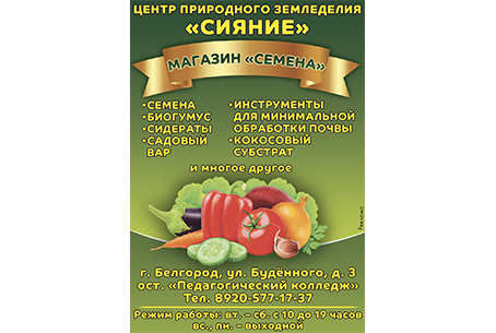 Рекламный макет