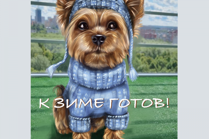 Портрет питомца