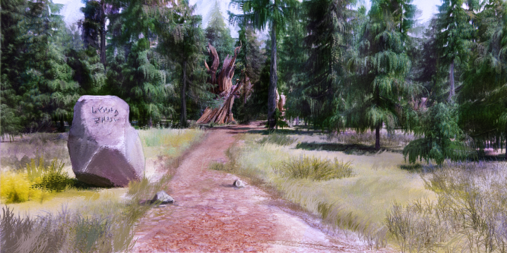 Forest