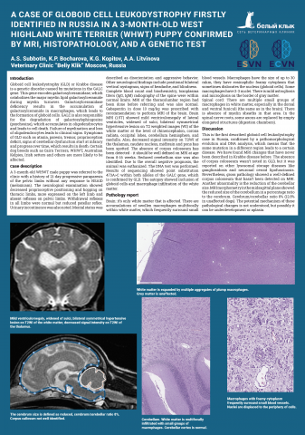 Верстка научного плаката для конференции