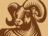 Big Horn
