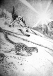 Snow