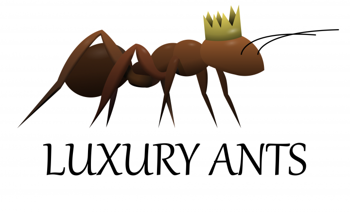 Арт муравья