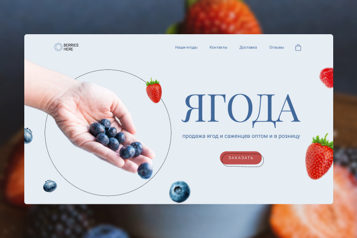Дизайн лендинга / посадочной страницы для продажи ягод