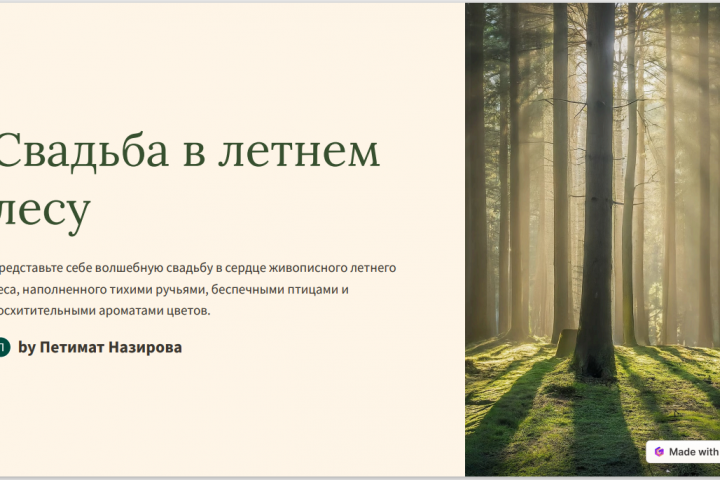 Презентация