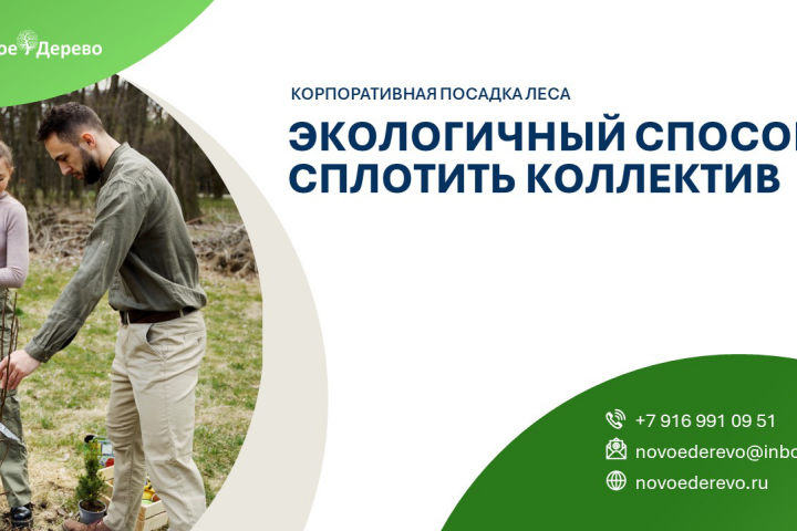 КП по экологическому тимбилдингу для организаций