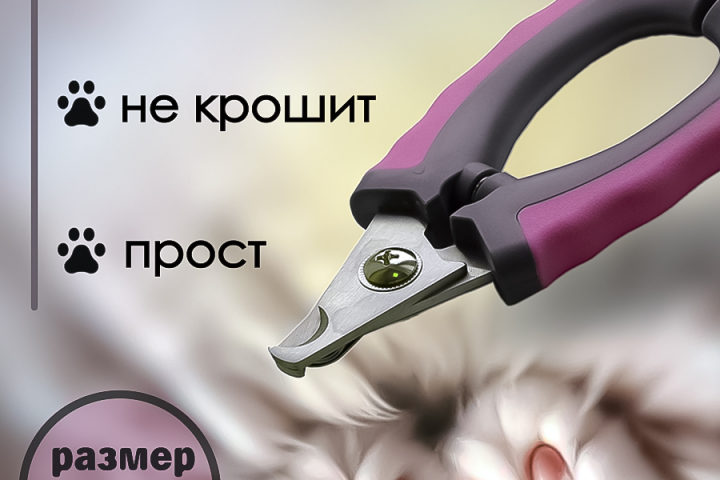 инфографика