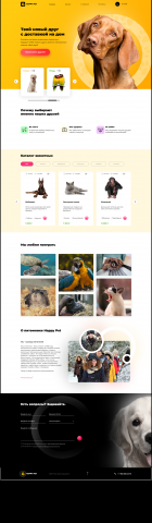 Дизайн Landing page
