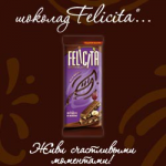 Работа 2219286