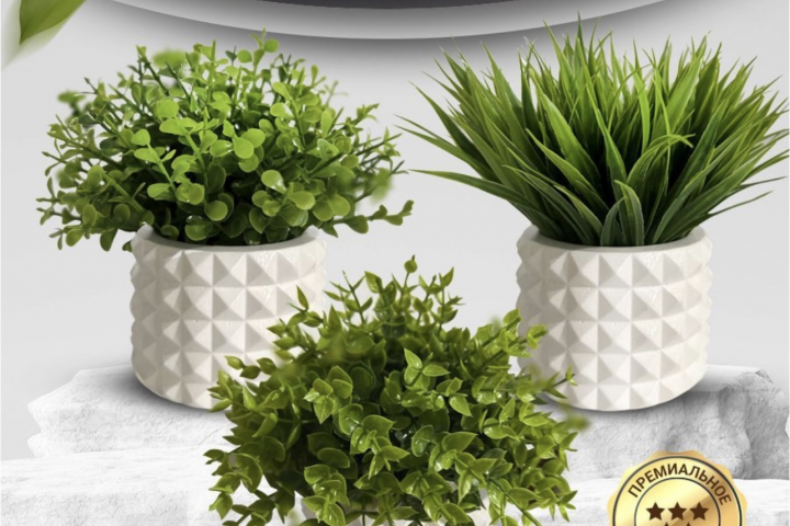 Инфографика для Ozon