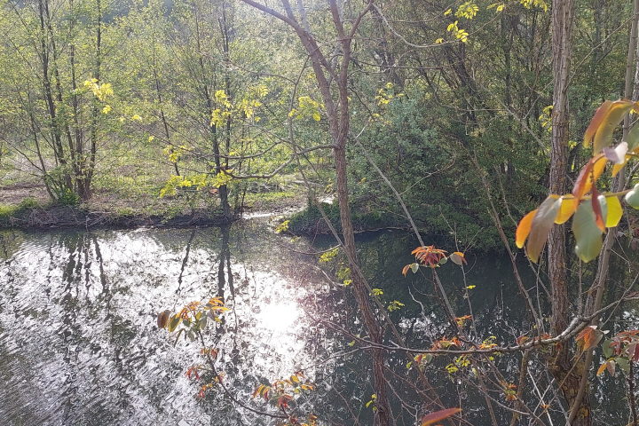 Пейзажное фото для заставки на телефон, компьтер