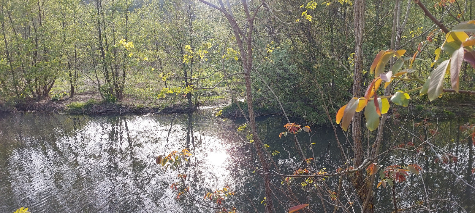 pic4569259.jpg