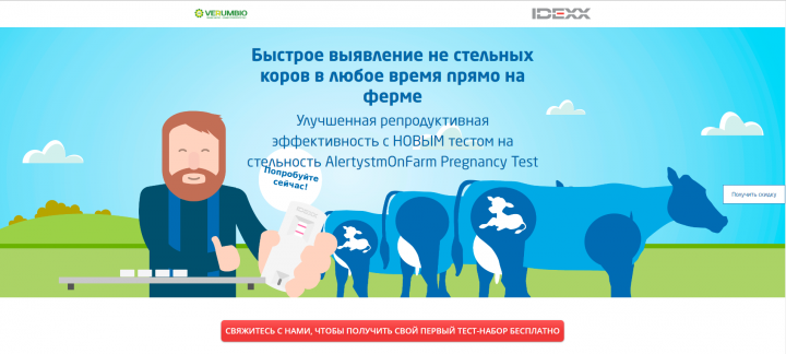 Лендинг