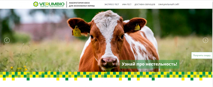 Лендинг