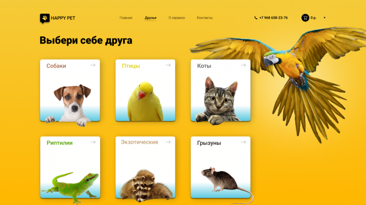 Зоо магазин