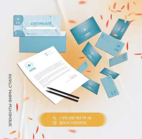 Фирменный стиль для компании женской косметики "Evva""