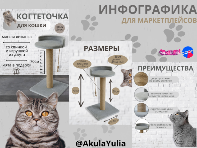 Инфографика